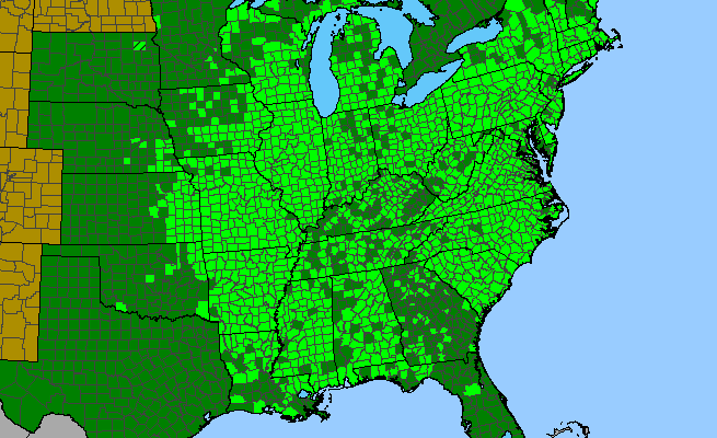 The range of Symphyotrichum pilosum